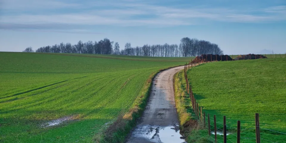 Czym różni się biuro rachunkowe od doradcy podatkowego w Sosnowcu?