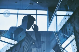 BDO za granicą: Jak skutecznie zarządzać biznesem w międzynarodowym środowisku?